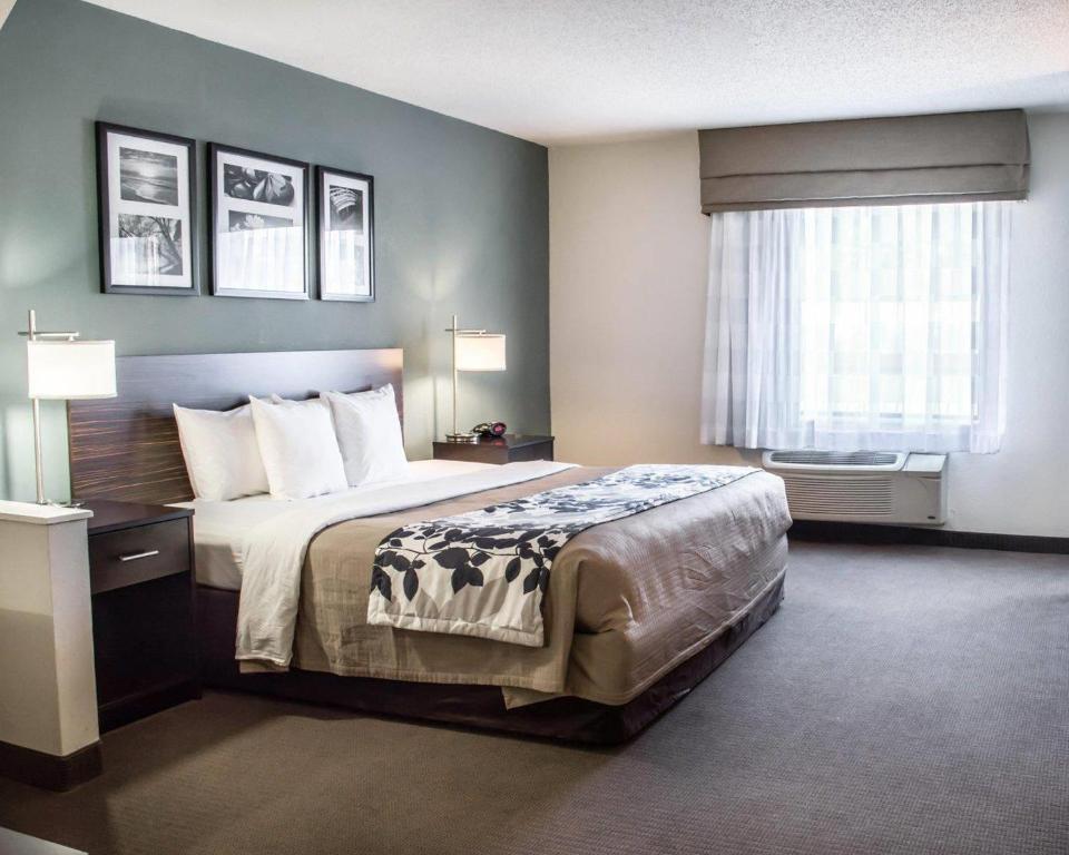 a hotel room with a bed and a window at Sleep Inn & Suites Monticello in Charlottesville