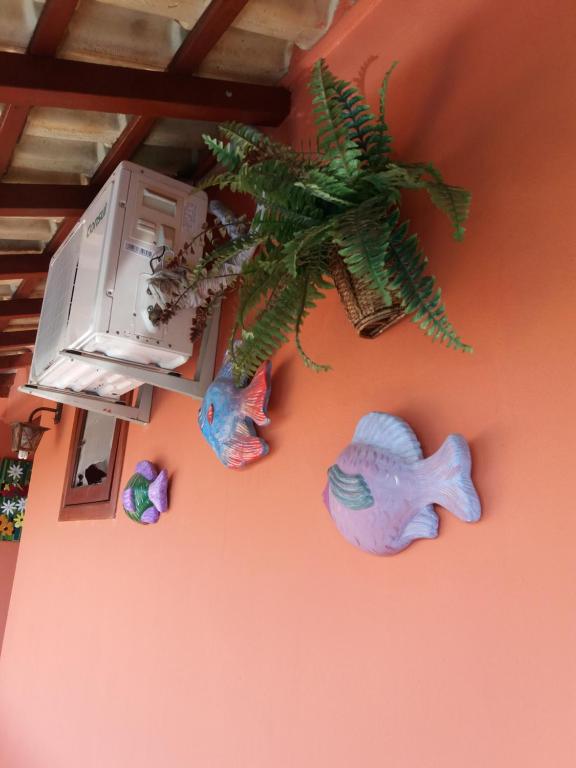 Fotografie z fotogalerie ubytování Pousada El Garcia v destinaci Paraty