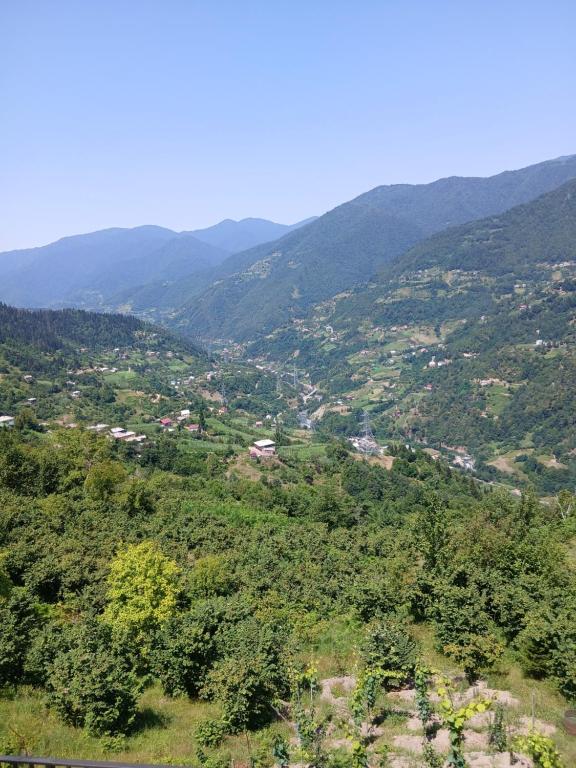 an aerial view of a valley with mountains at A-frame с видом на горы in Kokotauri