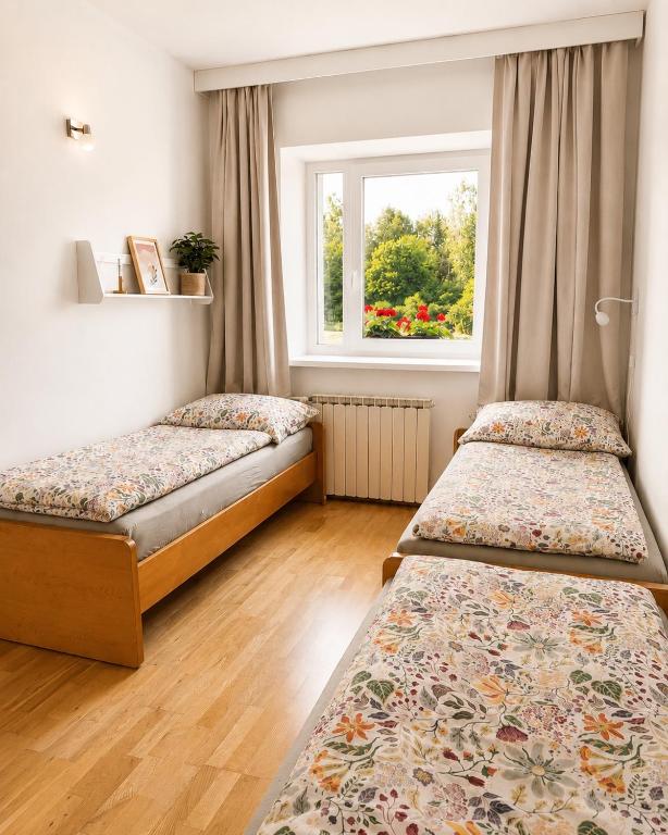 two beds in a room with a window at Soukromý apartmán s vlastním vstupem in Nová Ves