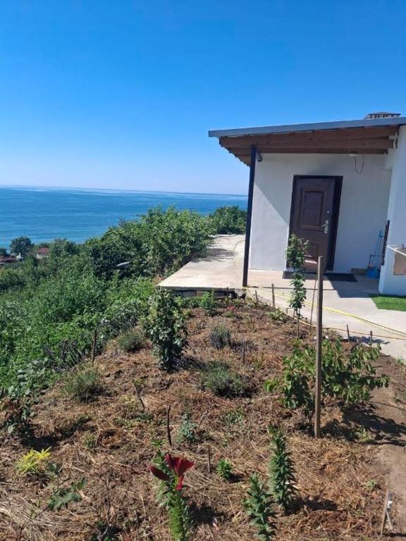 a small white building with a porch and the ocean at Закоханий у море in Odesa
