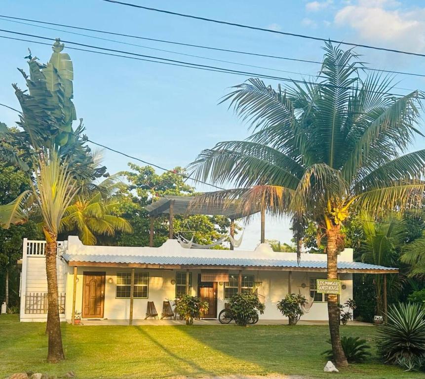 a house with palm trees in front of it at Los Mangoes in Hopkins
