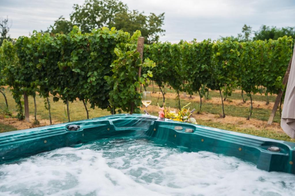 a jacuzzi tub in a field with trees at Vikendica Vinogradski Mir, Jacuzzi and Vineyard View in Bačinci