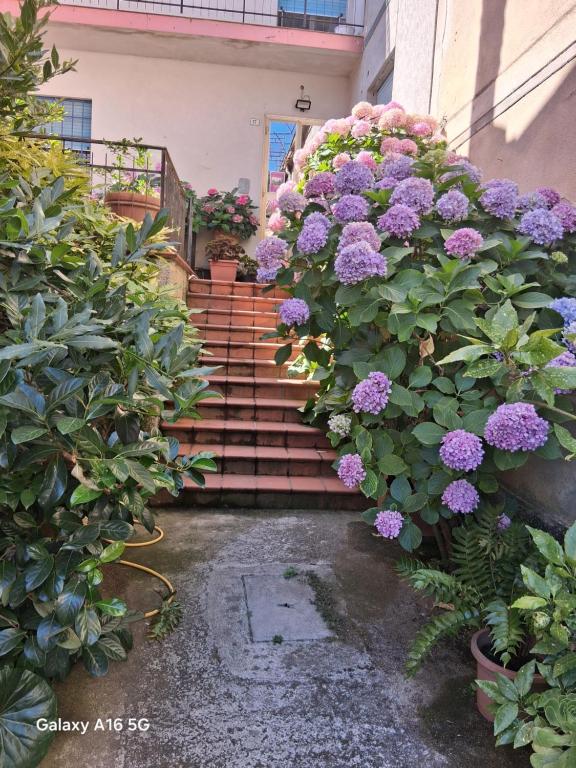 a set of stairs with purple flowers on them at Le Ortensie in Bono