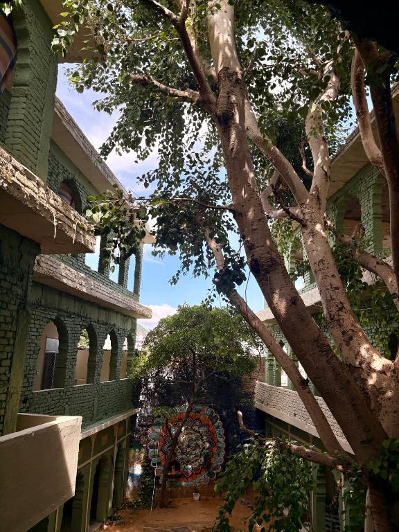 a building with a tree in front of it at Vyom Hostel in Pushkar