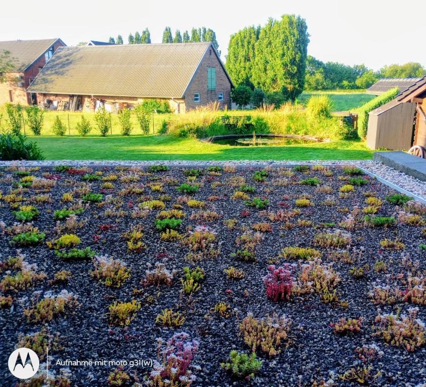 a garden with many different types of plants at Ferienwohnung Fuchsbau in Werne an der Lippe