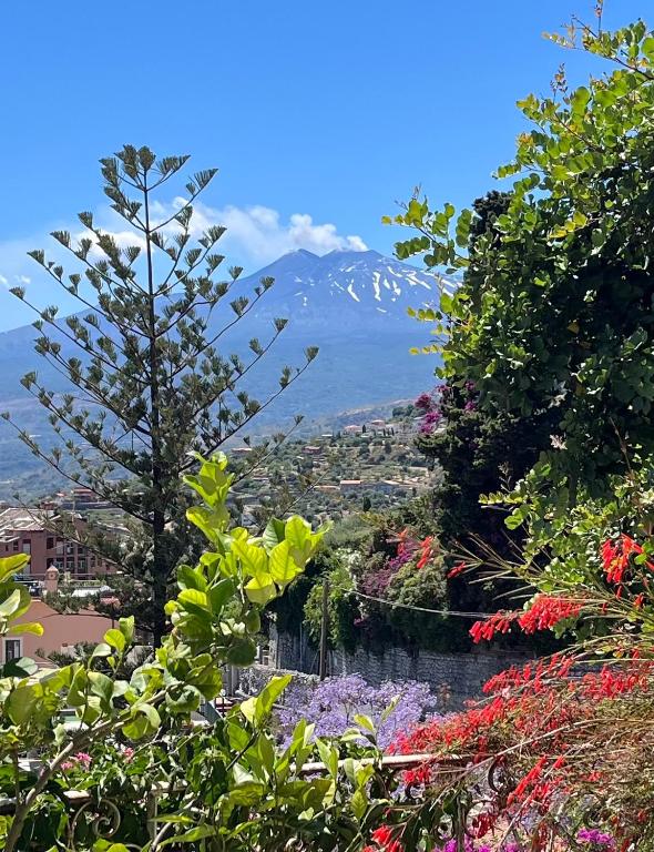 a view from a garden with flowers and a mountain at La casa nell'aria Casa Scacciapensieri TAORMINA in Taormina