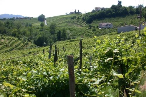 b&b alla pergola - Einzelzimmer