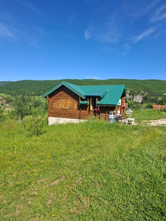 a log cabin with a green roof in a field at Mateva vikendica in Berane
