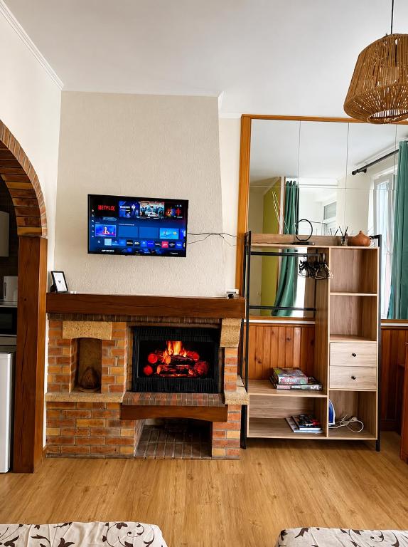 a living room with a fireplace with a tv above it at Studio Magnifique in Darnétal