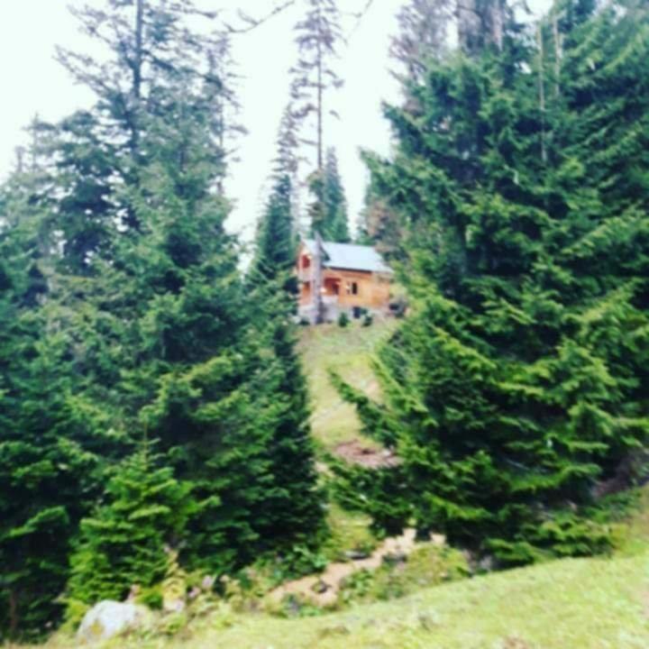a house in the middle of a field between two trees at BBR House in Chʼkhakoura