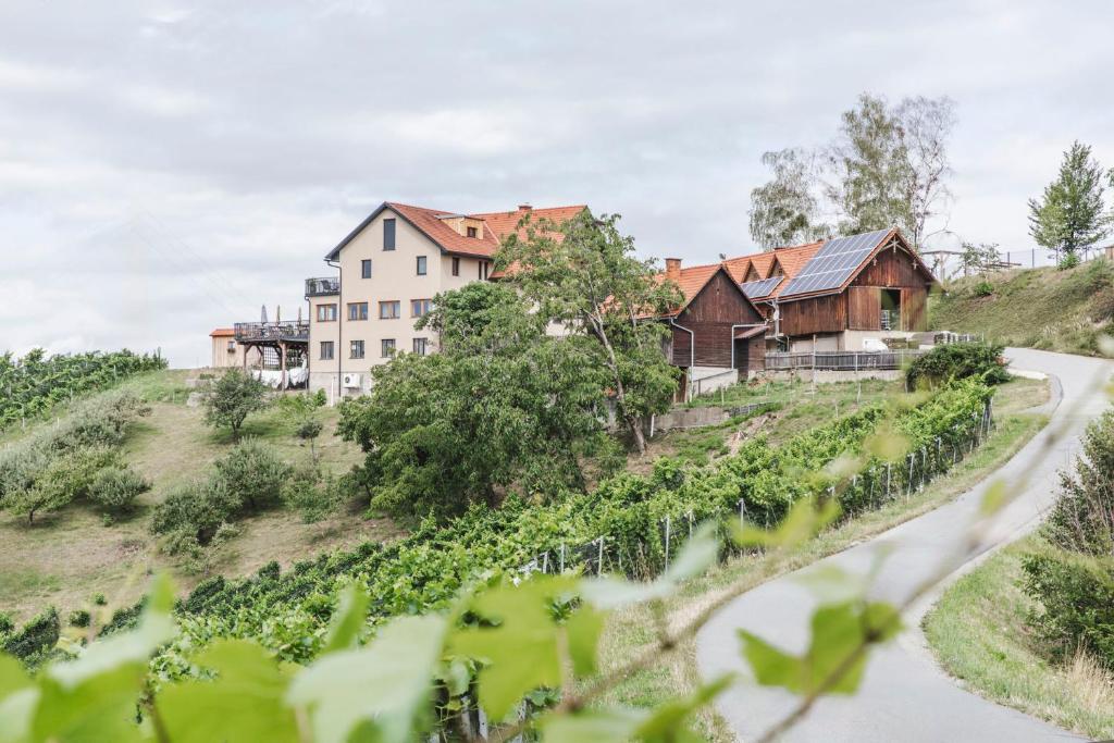 a house on a hill next to a road at Weingut Peter Grill in Leutschach