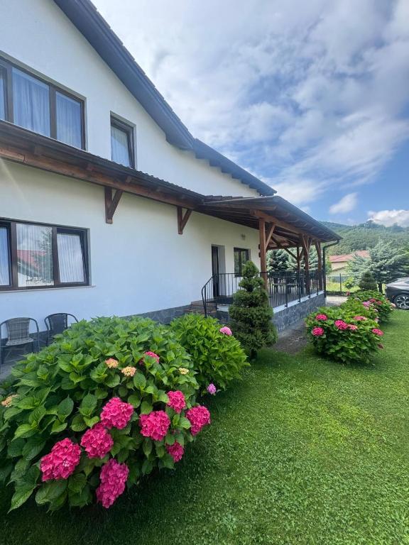 a house with pink flowers in the yard at Pensiunea Funivia in Săcele