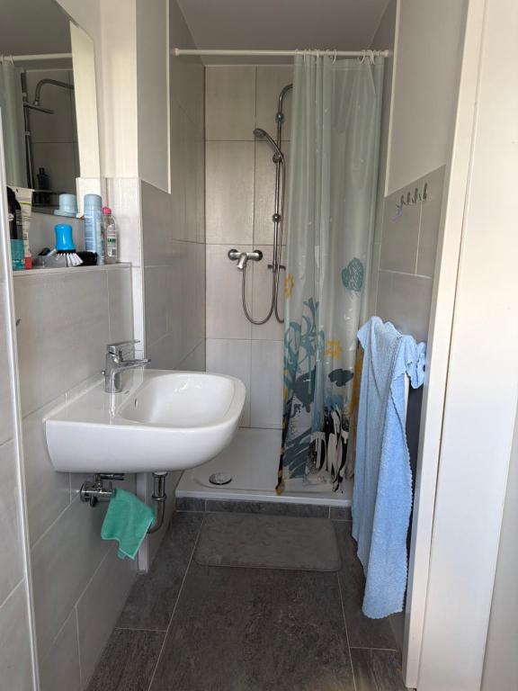 ein Badezimmer mit Waschbecken und Dusche in der Unterkunft Schmidt Pension in Karstädt