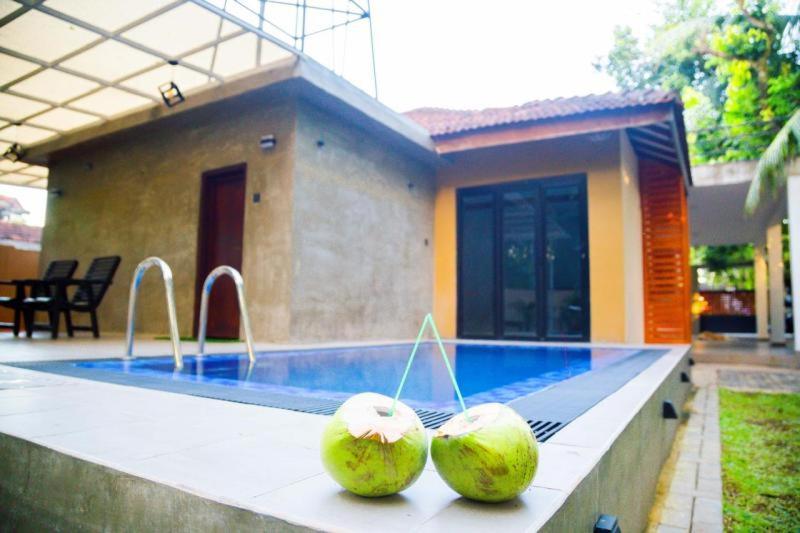 three coconuts sitting on the edge of a swimming pool at Midtown Mansion in Veyangoda