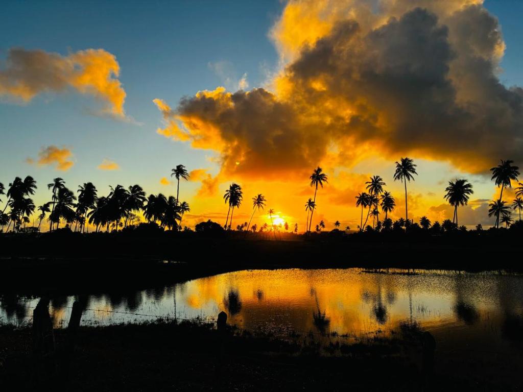 a sunset with palm trees and a body of water at Caueira Beach House in Itaporanga dʼAjuda