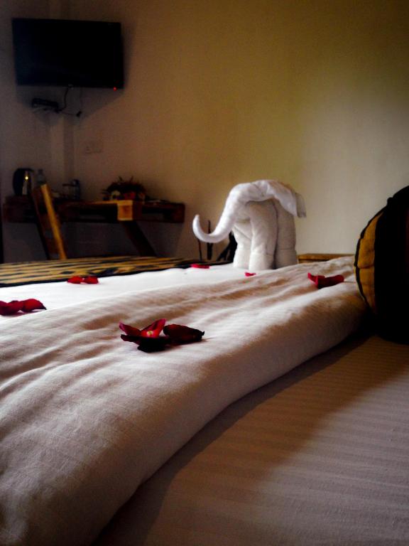 The Spice Lodge - 13