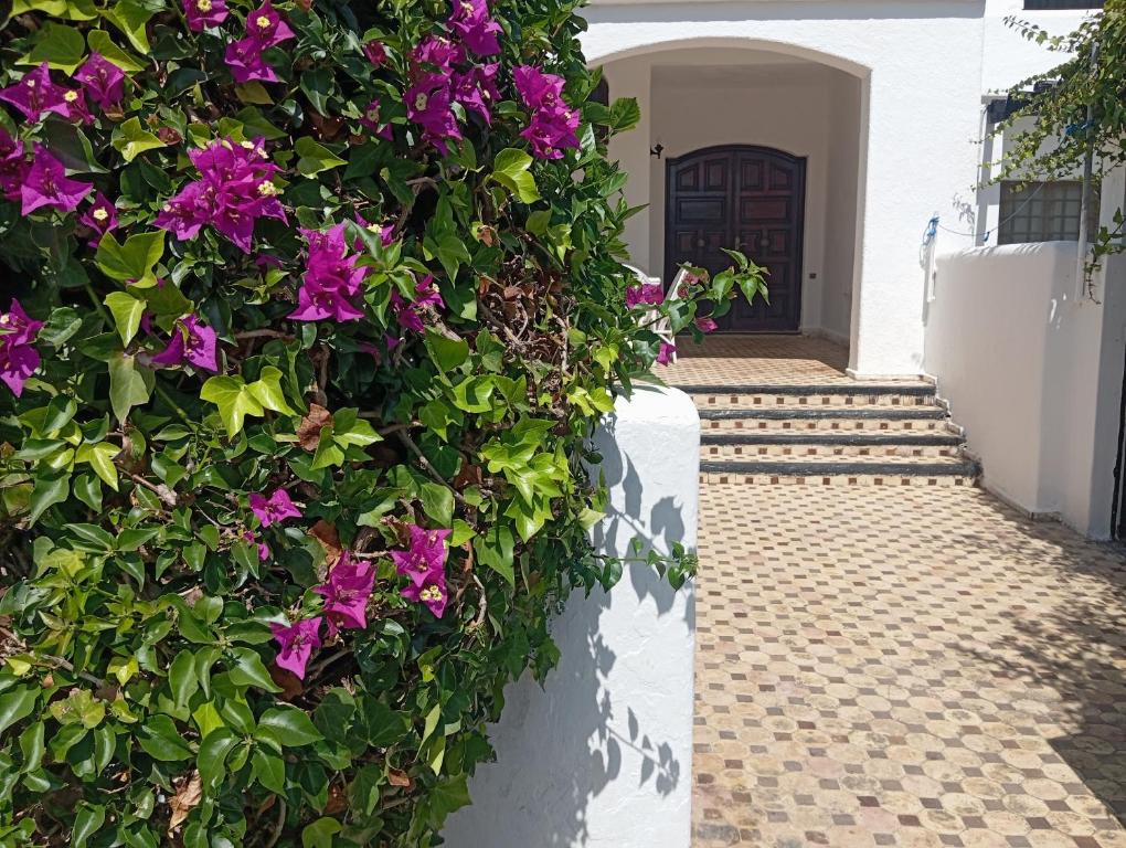 a plant with purple flowers on a white building at Villa pieds dans l'eau Cabo in Cabo Negro