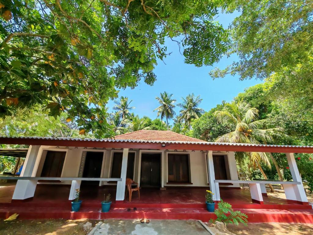 a house in the middle of a forest at Amma's Homestay in Jaffna