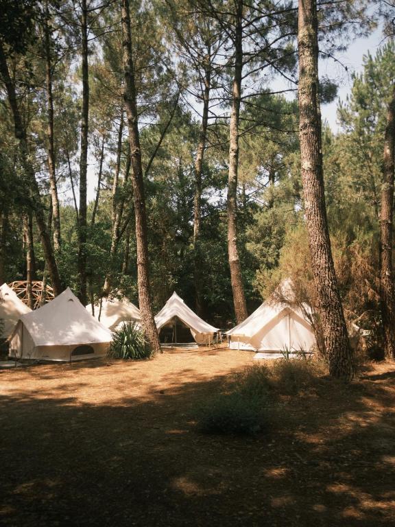 a group of tents in a forest with trees at Auberge Aparra Surfcamp Ondres in Ondres