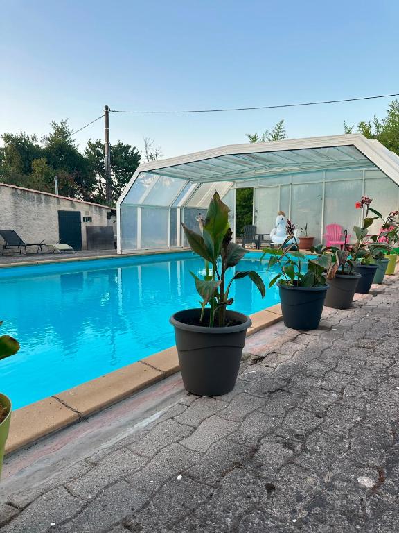 a row of potted plants next to a swimming pool at Grande maison de vacances jusqu'à 15 personnes, à quelques pas d'Aix-en-Provence in Aix-en-Provence