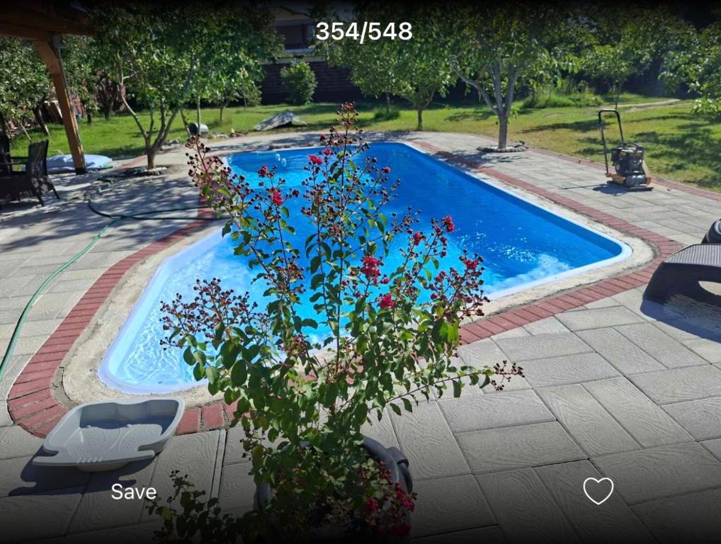 a swimming pool with a plant in front of it at Green Villa Rodna in Skopje