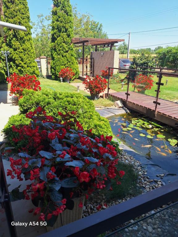 a flower garden with red flowers and a pond at Neon2 - Vendégház in Orosháza