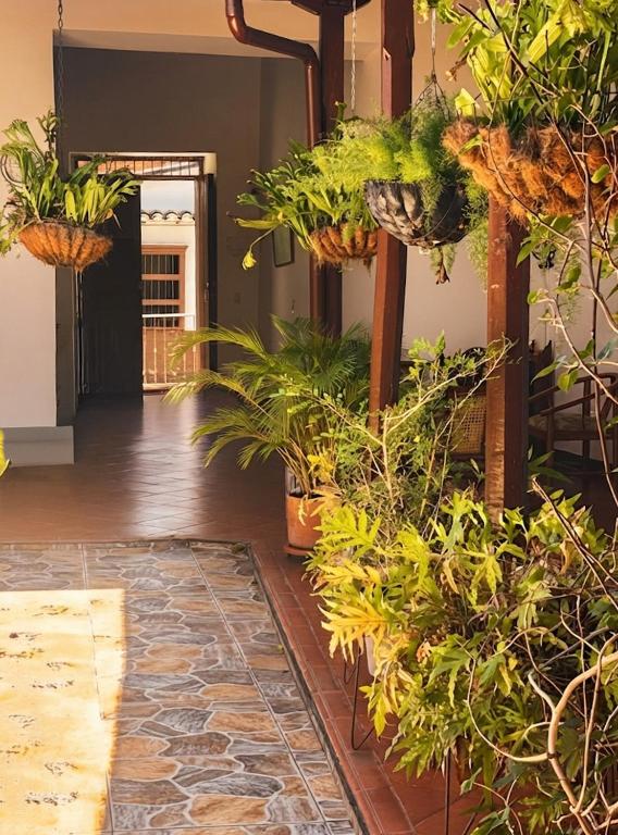 a lobby with potted plants and a hallway at La Casona Santa Fe in Santa Fe de Antioquia