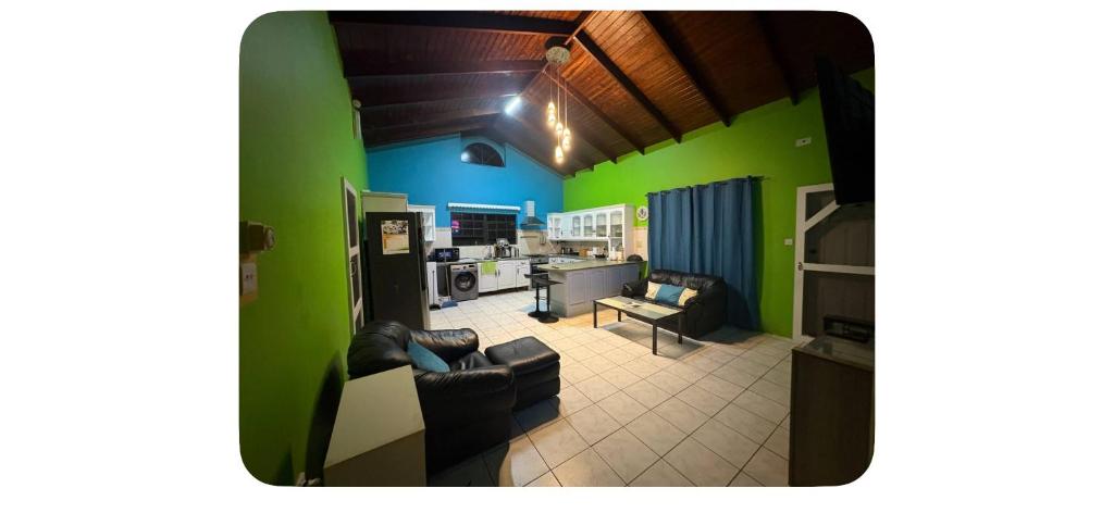 a living room with green walls and leather furniture at Ocean veiw Apartment in Telescope