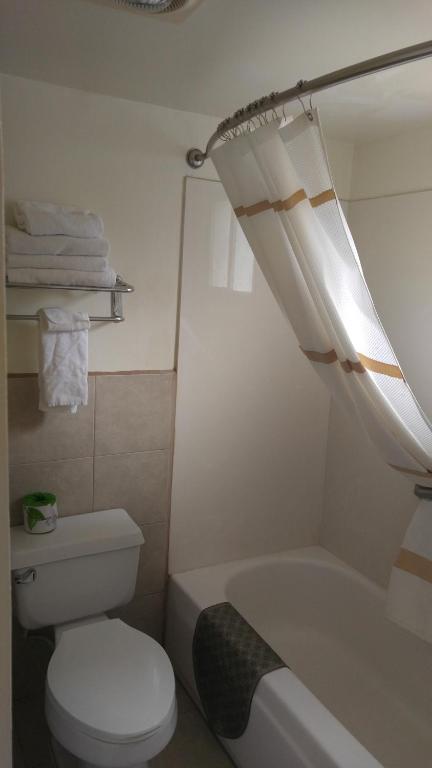 Koupelna v ubytování American Regency Inn