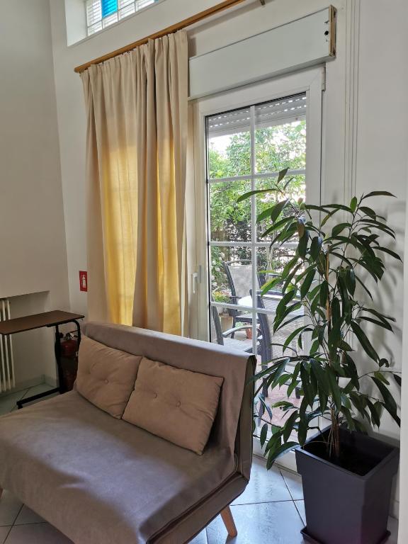 a couch in a living room with a plant at Spring Harmony Trikala Pigi in Tríkala