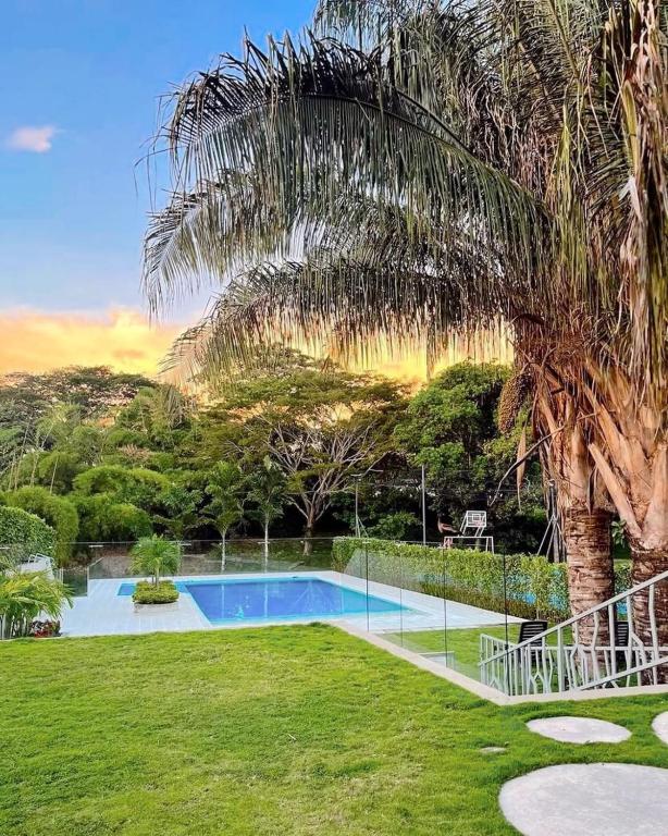 a palm tree and a swimming pool in a yard at Bambú Alojamiento in Carmen de Apicalá