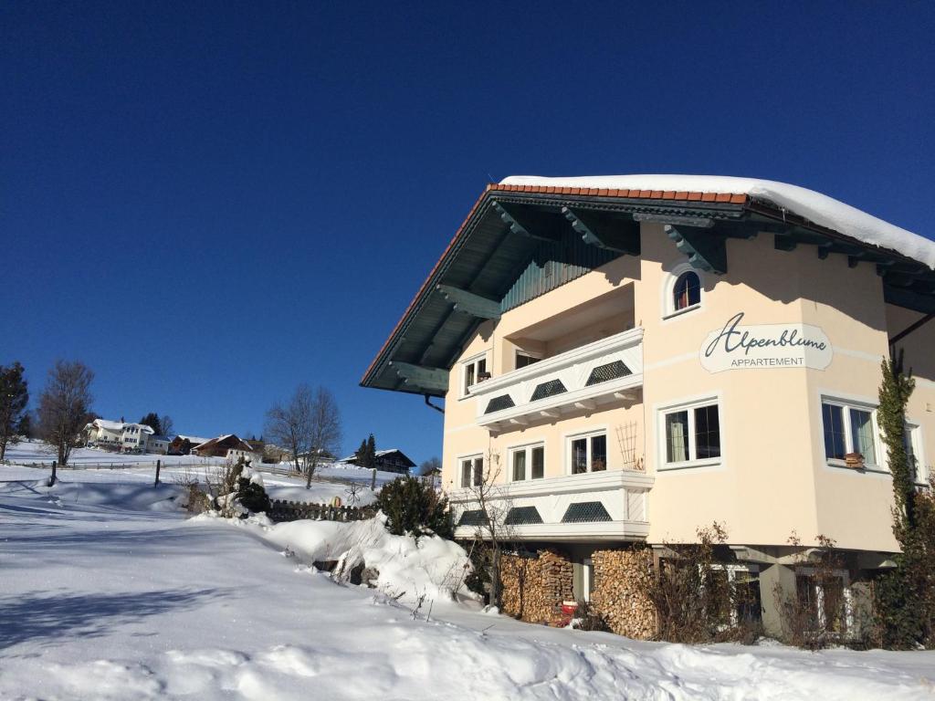 シュラートミンクにあるAppartement Alpenblumeの雪の建物