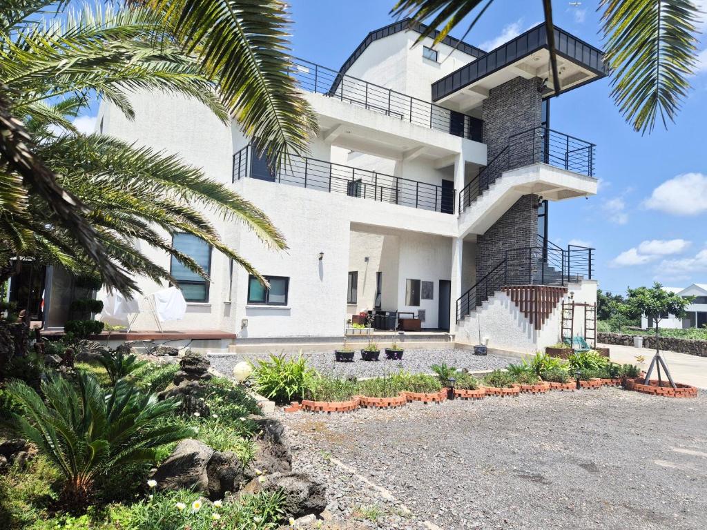 a house on the beach with a palm tree at Liverpool & Spa in Jeju