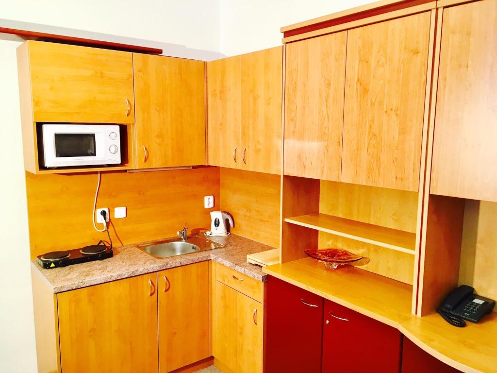 Kuchyň nebo kuchyňský kout v ubytování Apartments Radka
