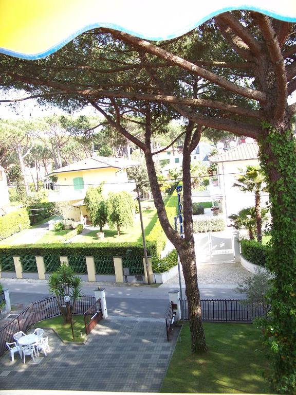 a view of a park with benches and a tree at Hotel Giulio Cesare in Cinquale