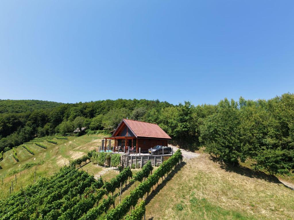 an aerial view of a vineyard with a house at Hiška oddiha - Rest house in Sromlje