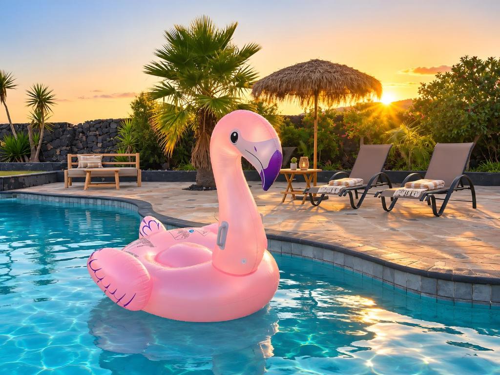 a pink swan in the water in a pool at Exceptional Villa With Pool in Villaverde