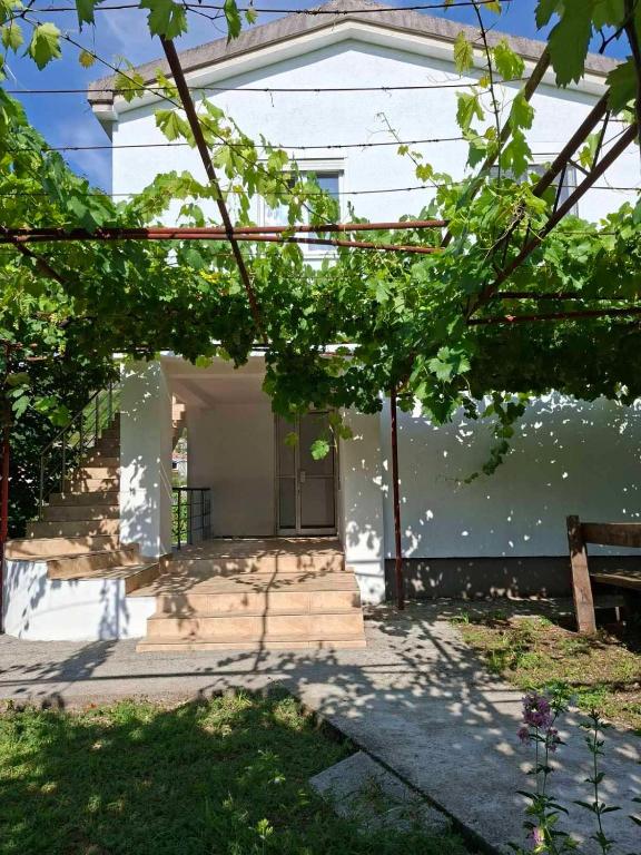 a view of a house from the backyard at Village house Tea in Virpazar
