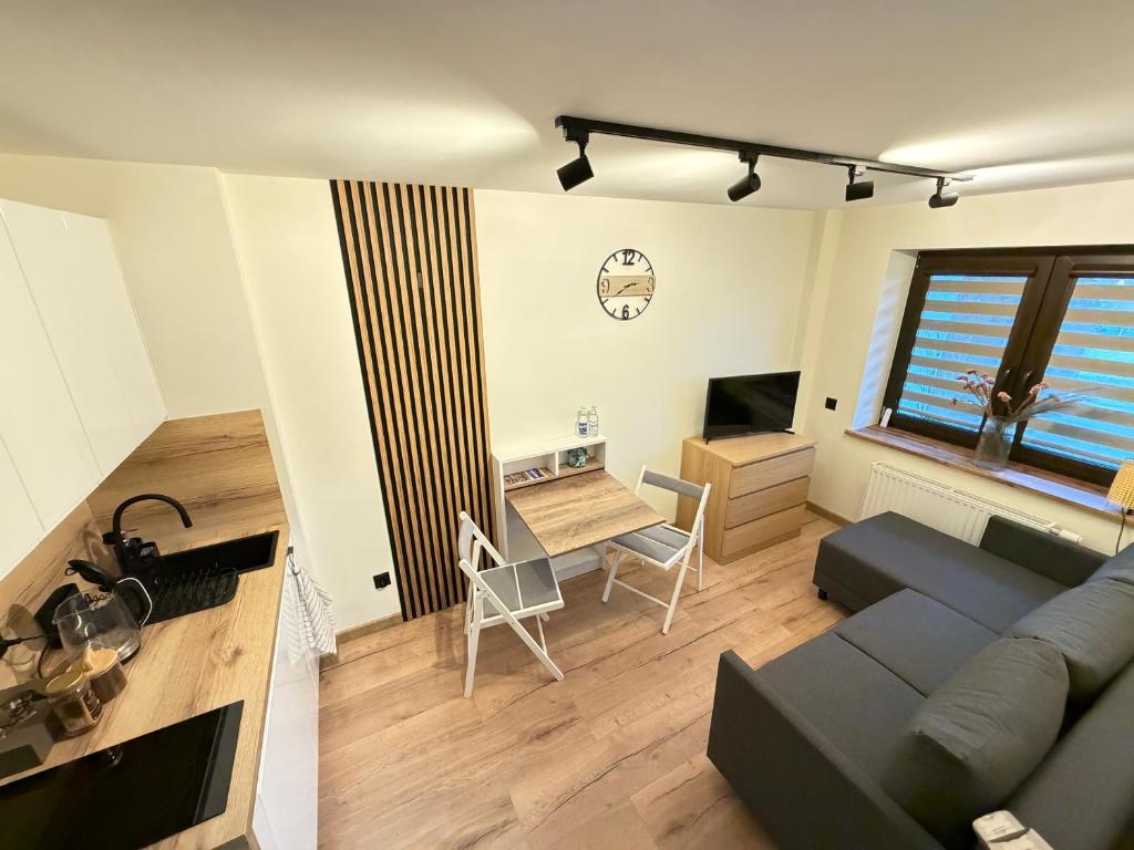 a living room with a couch and a table at Apartamenty RoweloveBB in Bielsko-Biała