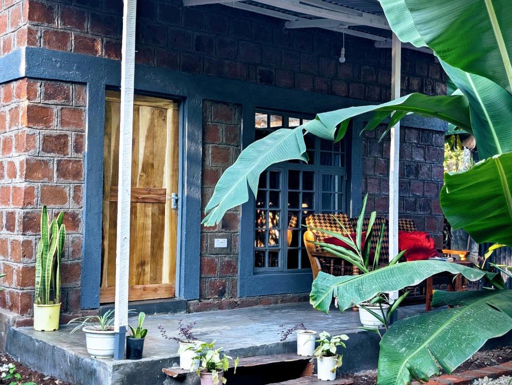 a brick house with a blue door and plants at Alkebulan cottages in Uru