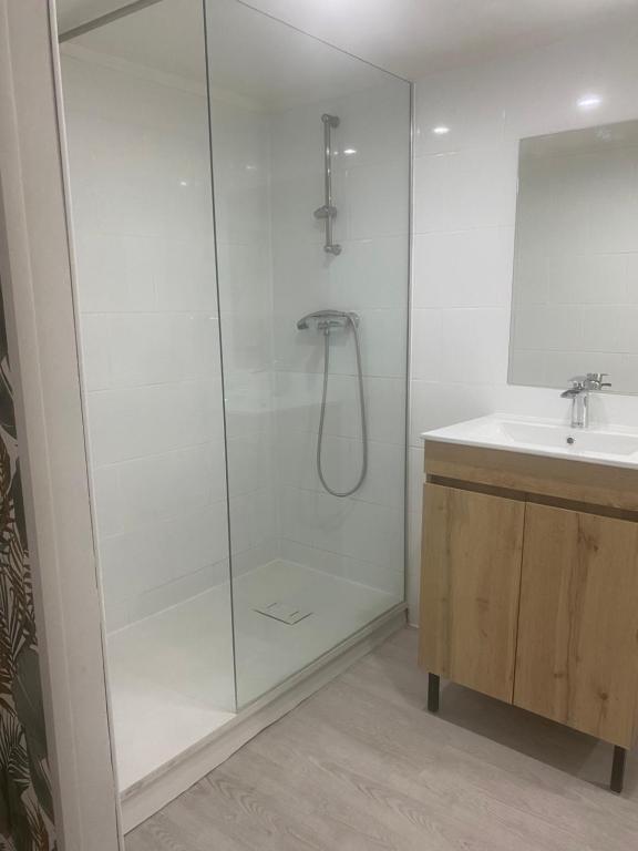 a glass shower in a bathroom with a sink at maison de village in Alairac