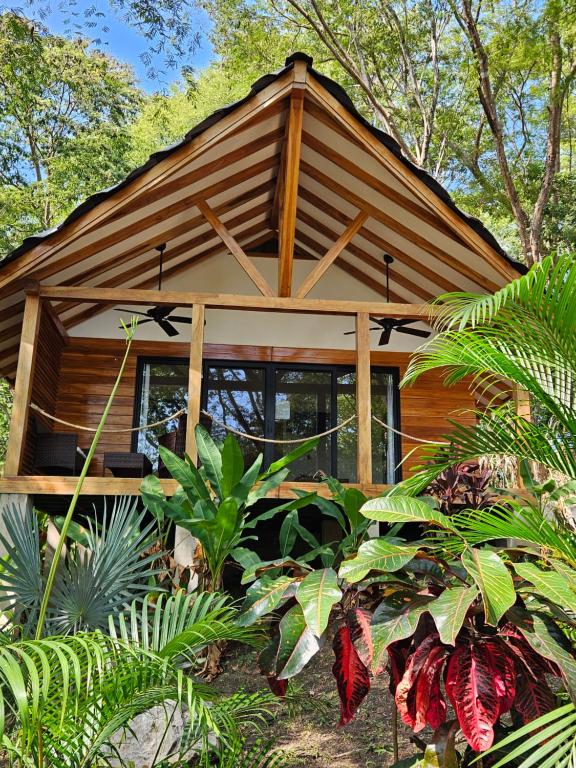 Beachfront Beach resort playa Leona - Deluxe Bungalow