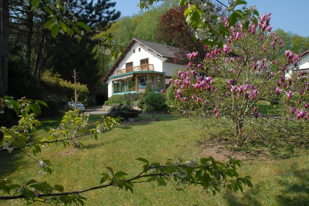 una casa con flores rosas en el patio en Villa Thalassa domaineleshesperides, en Bitche