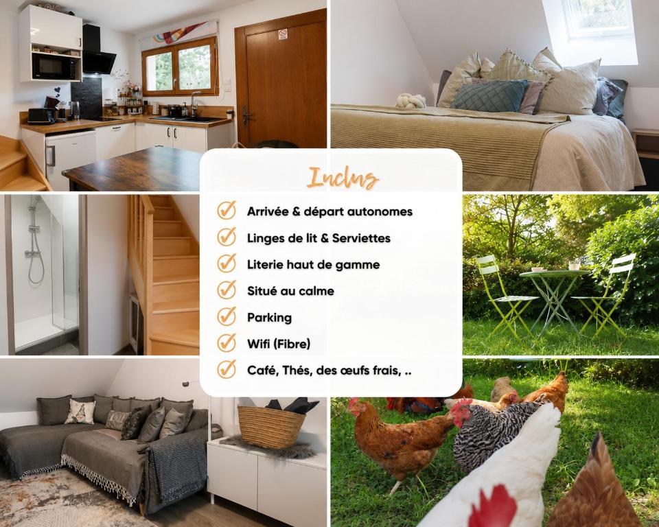 a collage of photos of a kitchen and a room with chickens at Studio duplex à Savenay - Calme & tout confort entre Nantes & l'océan in Savenay
