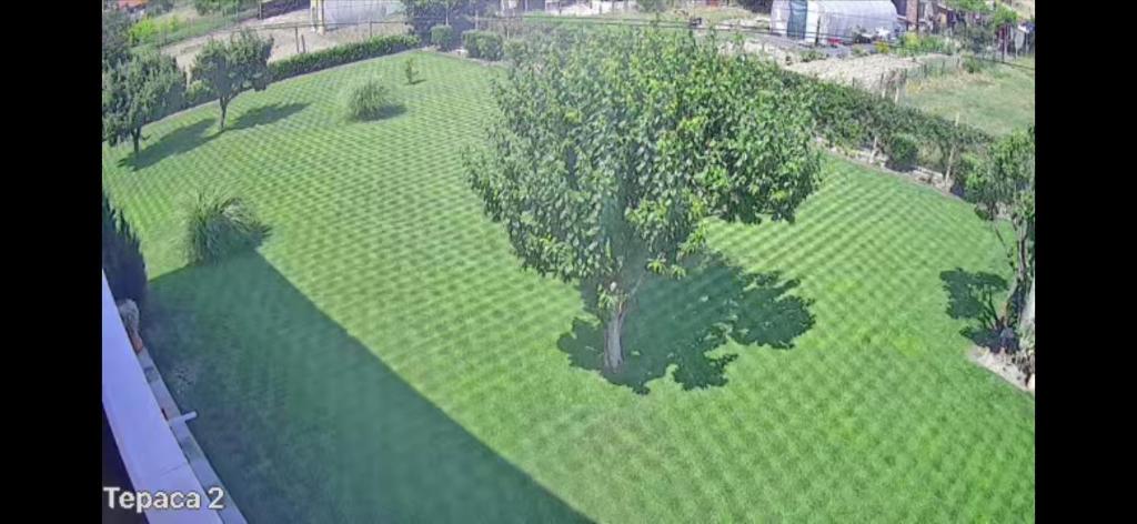 an overhead view of a tree in a green field at Къща Бети самостоятелни апартаменти с двор край Пловдив in Skutare