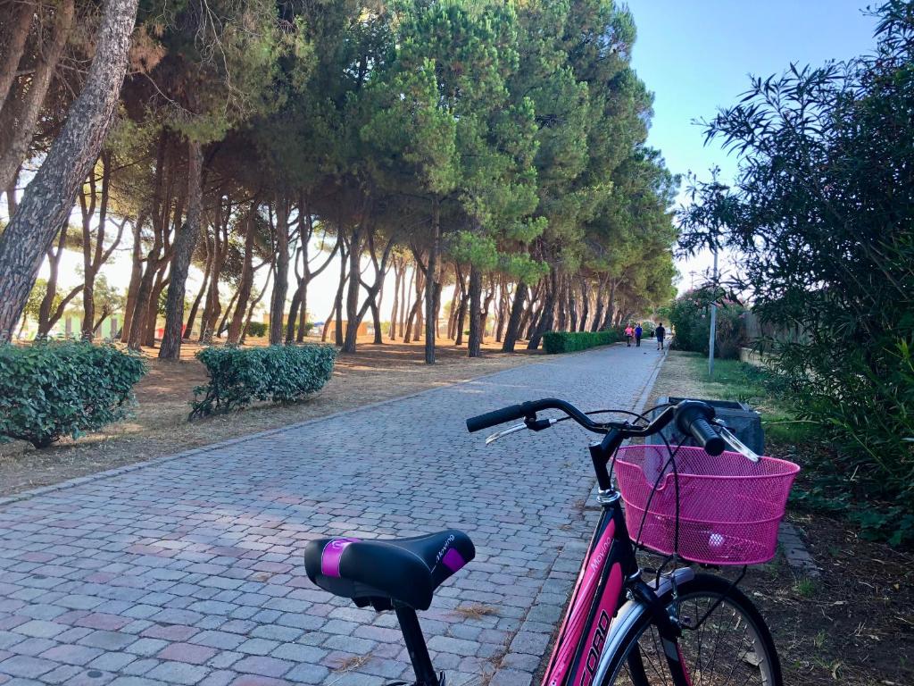 a pink bike with a basket parked on a brick road at Il Cenerone in Pineto