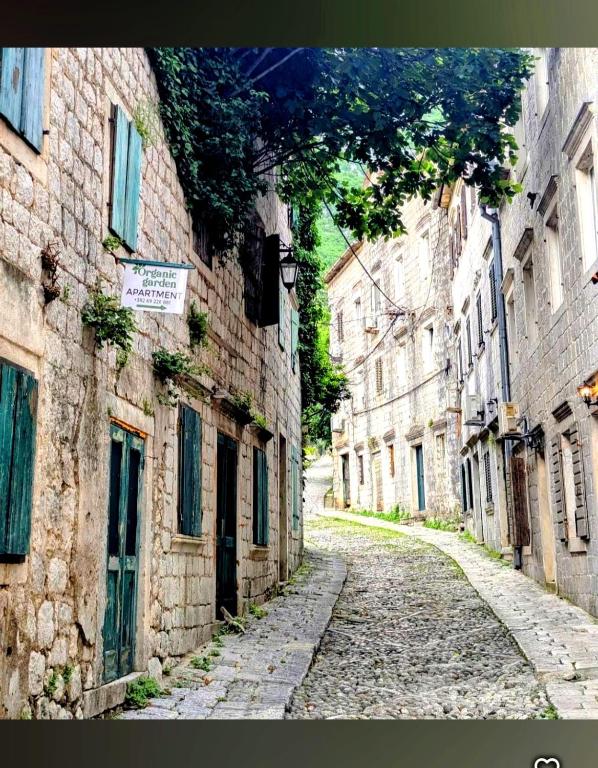 an empty street in an old stone building at Palazzo Gabela in Risan