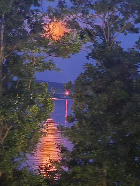 a view of a lake through the trees at night at Sea and lake KinKas in Mielno