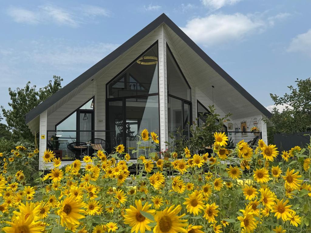 a house surrounded by a field of yellow flowers at Yellow House Natakhtari in Mtskheta